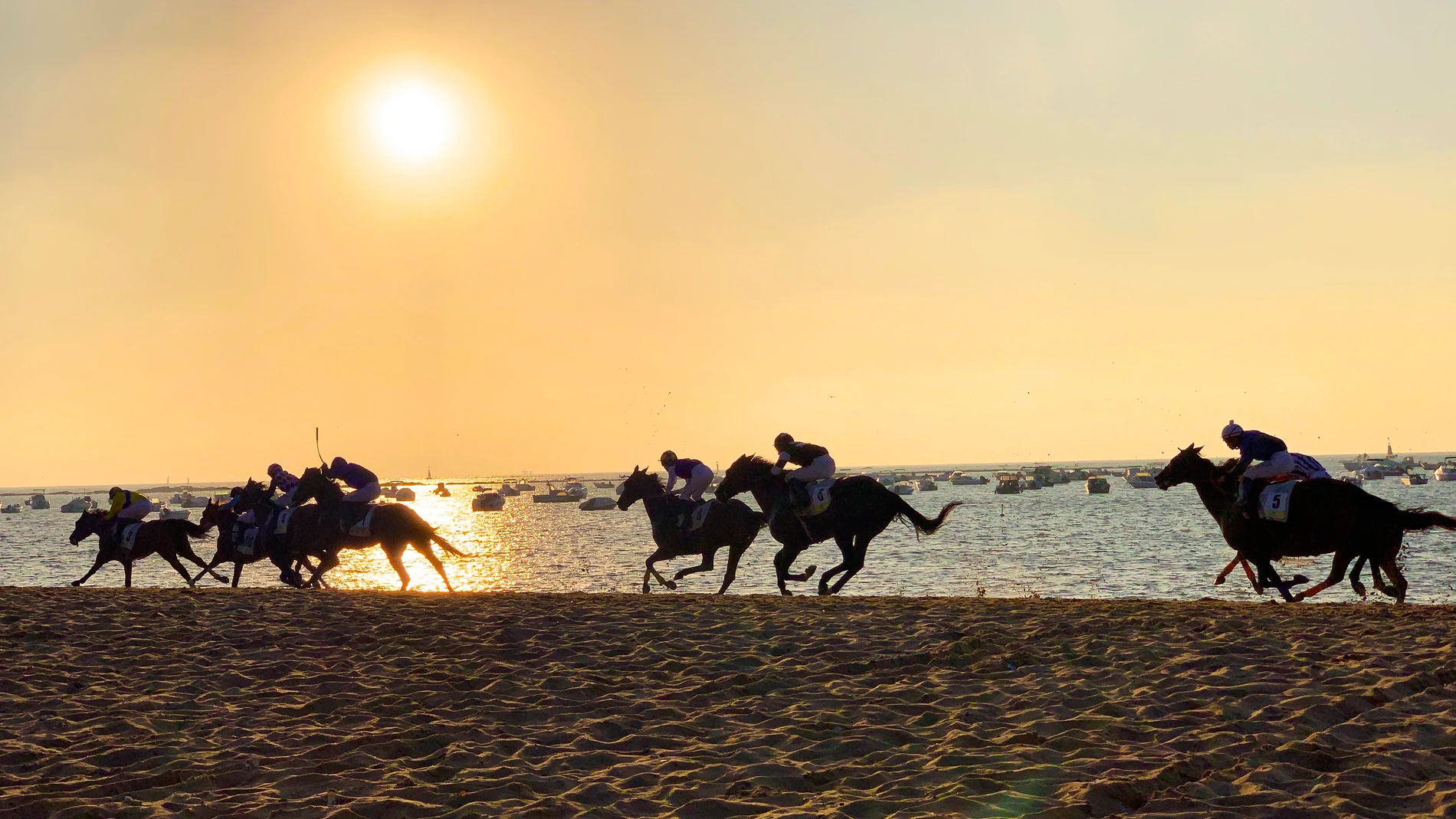 Carreras de caballos en Sanlúcar de Barrameda