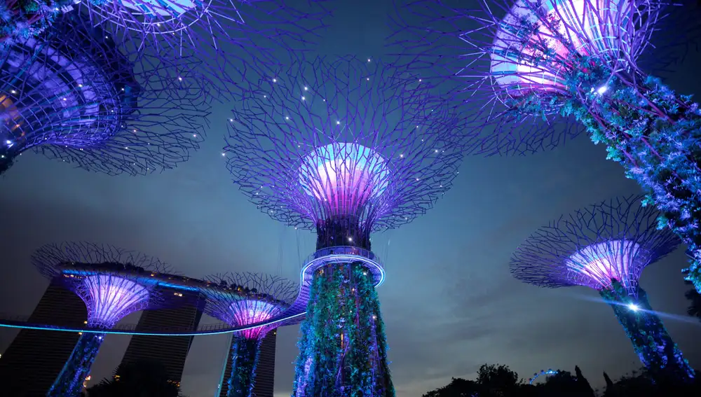 Vista general de los Jardines de la Bahía en Singapur. El país permitirá el tránsito de pasajeros internacionales a partir del 2 de junio