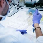 España ha puesto en marcha ya varias decenas de ensayos clínicos autorizados por el Ministerio de Sanidad