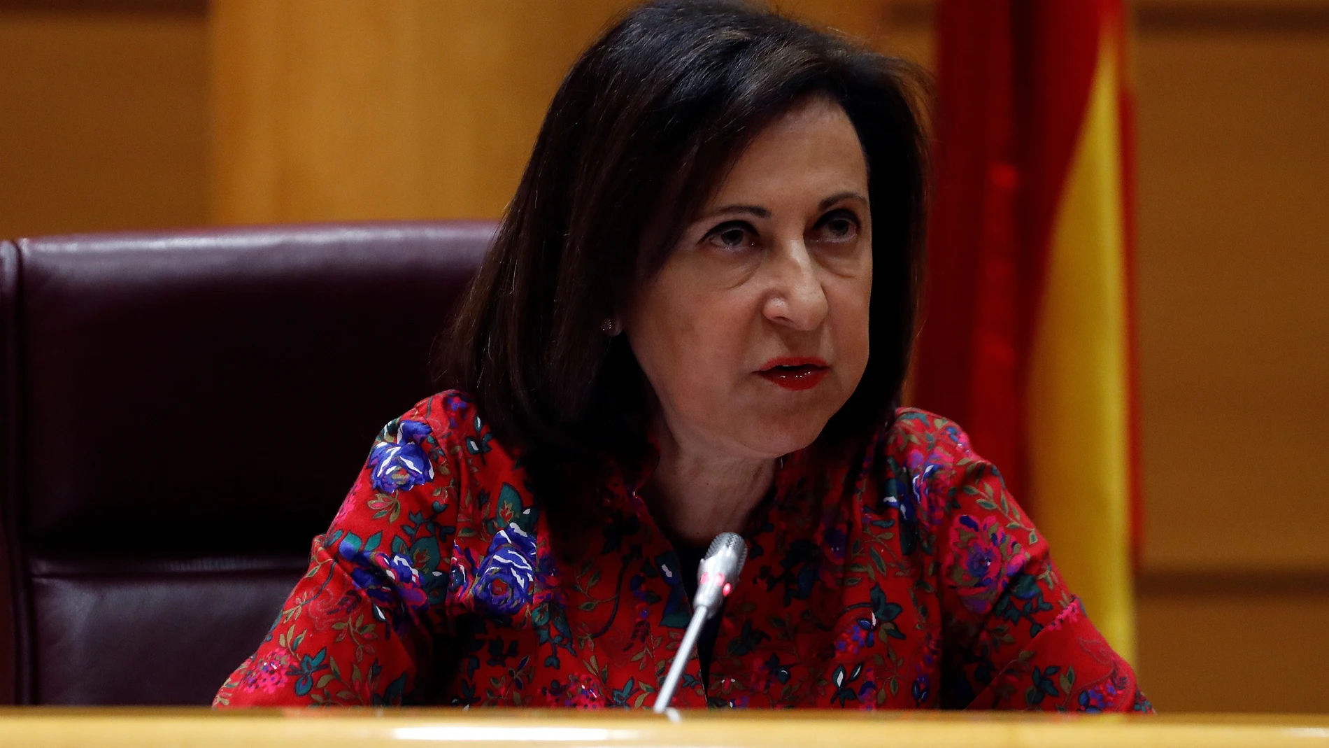 Margarita Robles comparece en el Senado