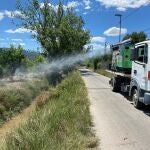 El Ayuntamiento de Murcia recuerda la importancia de la colaboración ciudadana en la lucha contra el mosquito tigre