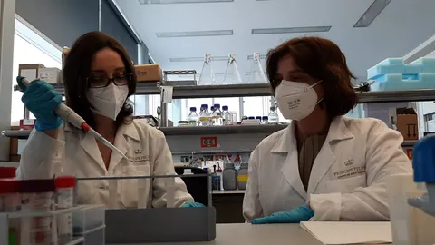 Se trata de un nuevo tratamiento combinado de un inductor desenescencia y una nanopartícula senolítica