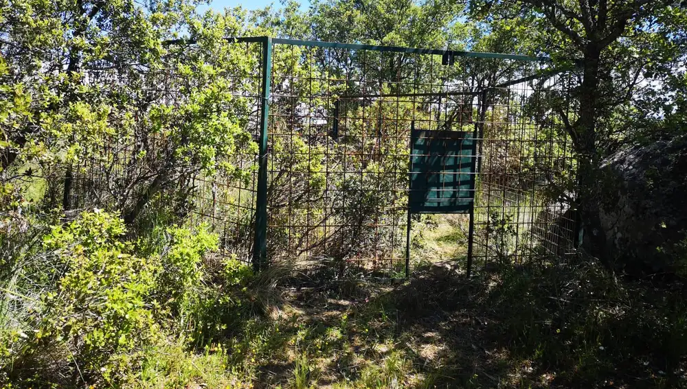 Armazón encontrado en el paraje Prado Navazo de Segovia utilizado para la captura ilegal de fauna silvestre