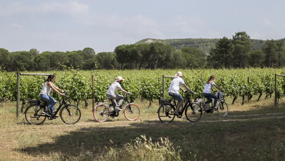 Cicloturismo entre viñedos en la Ruta de la Ribera de Duero