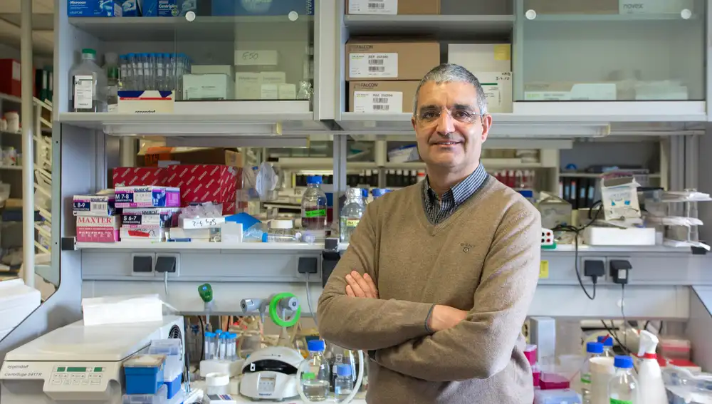 Xose R. Bustelo, Presidente Asociación Española de Investigación sobre el Cáncer (ASEICA). Vicedirector, Centro de Investigación del Cáncer de Salamanca.