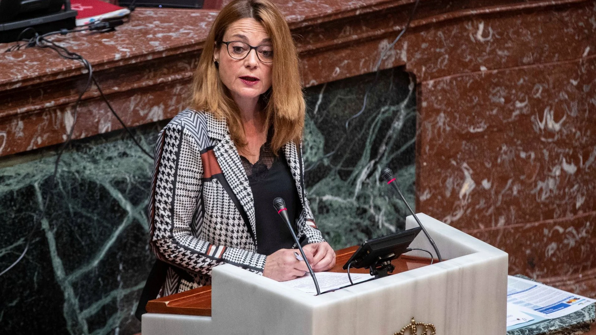 La diputada socialista en la Región de Murcia, Virginia Lopo