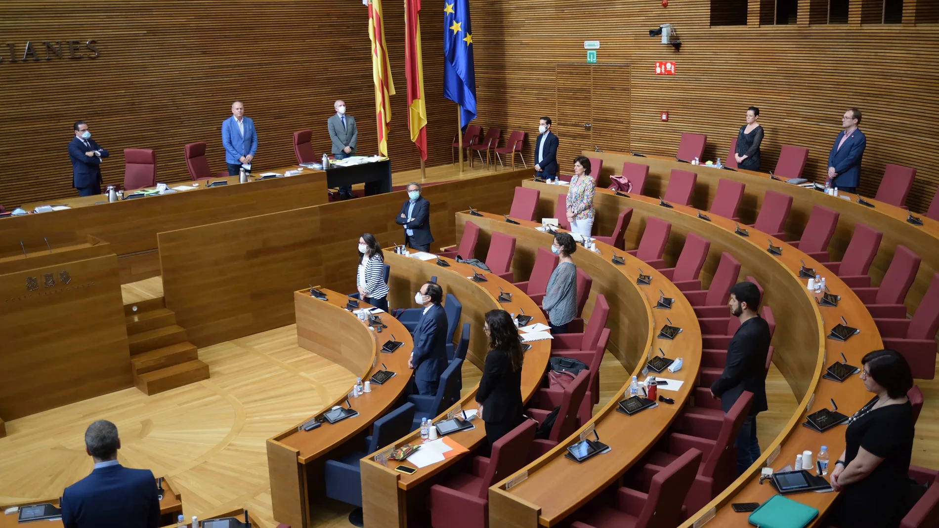 La asistencia presencial a los plenos es mínima para guardar las medidas de prevención y distanciamiento frente a la Covid