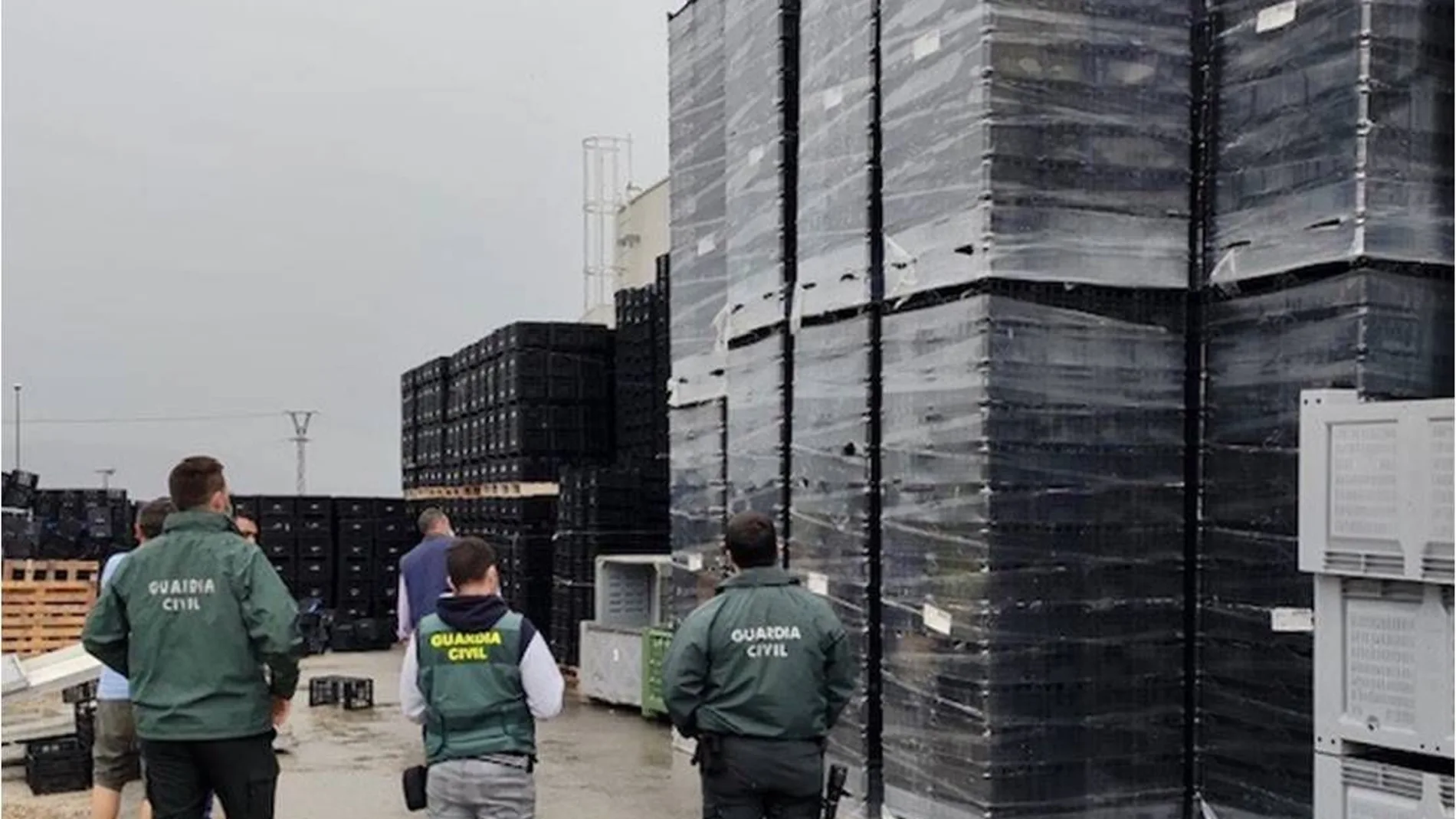 La Guardia Civil localizó 10.000 cajas de las más de 30.000 que se sirvieron a una empresa italiana que finalmente no existía