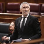 El ministro del Interior, Fernando Grande Marlaska, durante su intervención en la sesión de control al Gobierno en el Congreso. Eduardo Parra / Ep27/05/2020