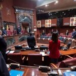 Imagen del Pleno celebrado este miércoles en la AsambleaASAMBLEA REGIONAL27/05/2020