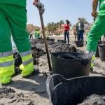 Limpieza de urgencia en el Mar Menor
