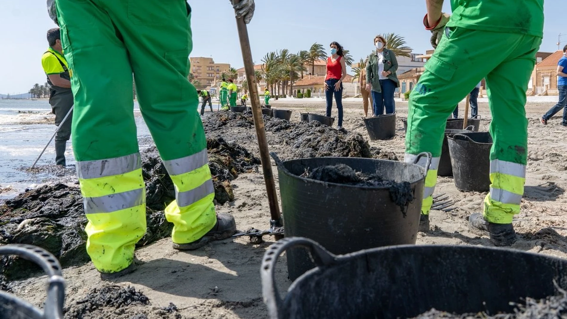 El Ayuntamiento de Cartagena agradece a la Comunidad el refuerzo de 30 operarios para la limpieza de las playas