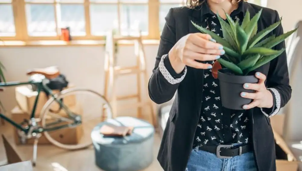 Decálogo para la convivencia entre caseros e inquilinos