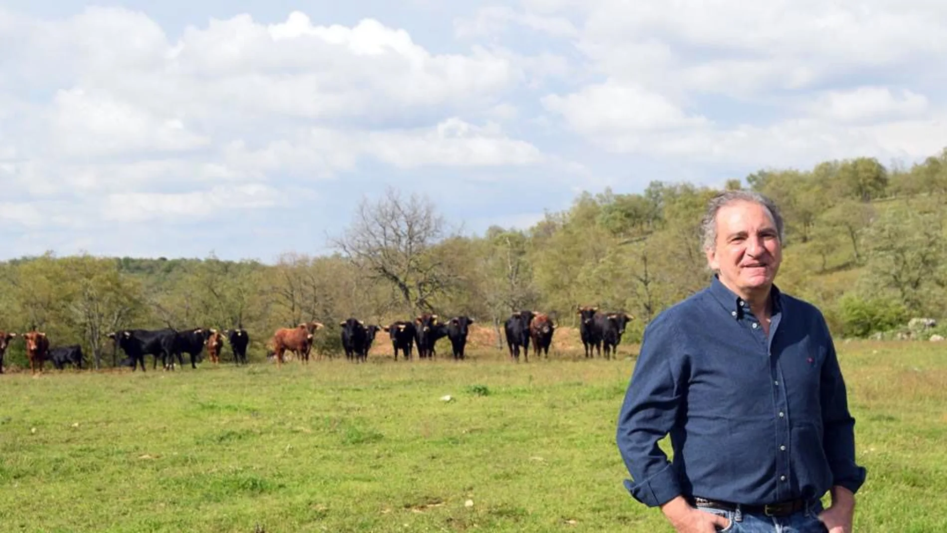 El ganadero burgalés Antonio Bañuelos, presidente de la Unión de Criadores de Toros de Lidia