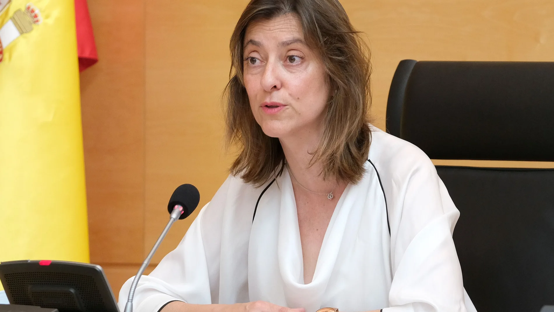 La directora general de Familias, Infancia y Atención a la Diversidad, Esperanza Vázquez, comparece en las Cortes