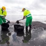 Más de 90 personas trabajan hoy en la limpieza del Mar Menor, en la playa de Los Urrutias.