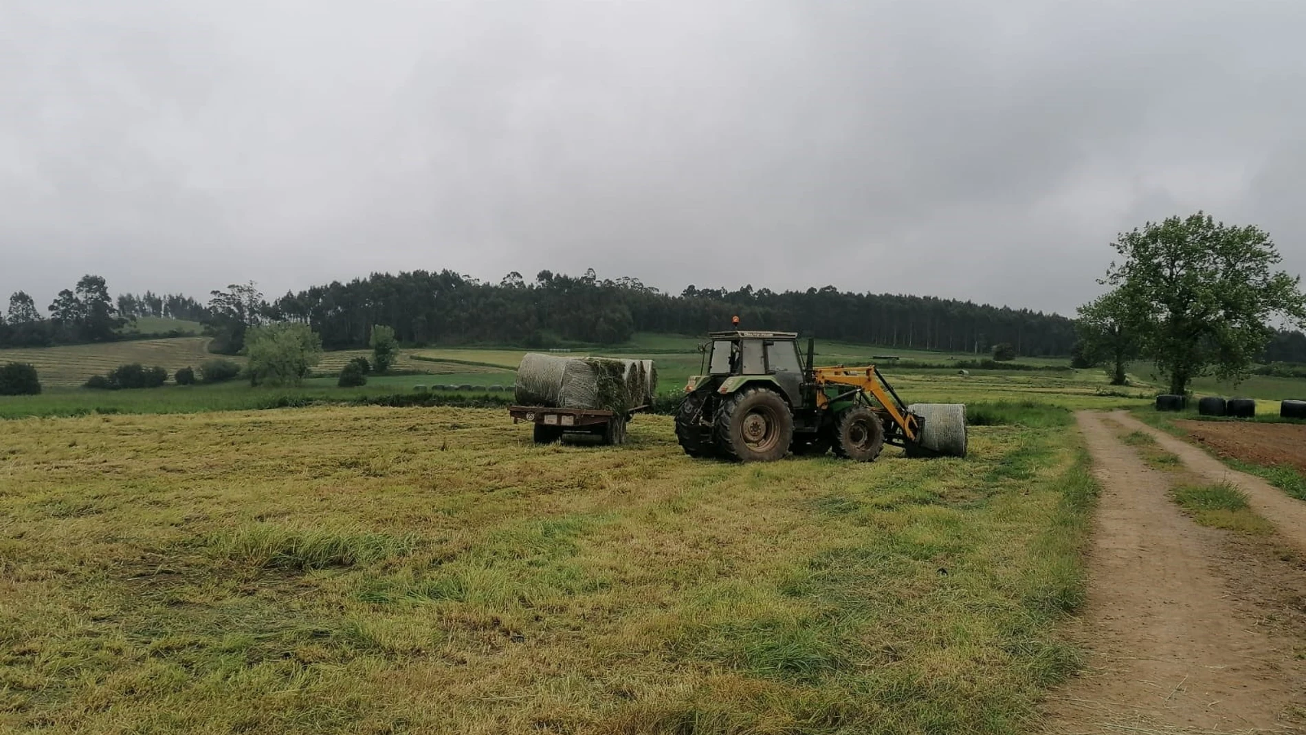 Rural.- Asociaciones agrarias piden más peso del campo en el plan europeo anticrisis y no permitir recortes en la PAC