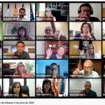 Imagen del pleno virtual de la Diputación de Alicante