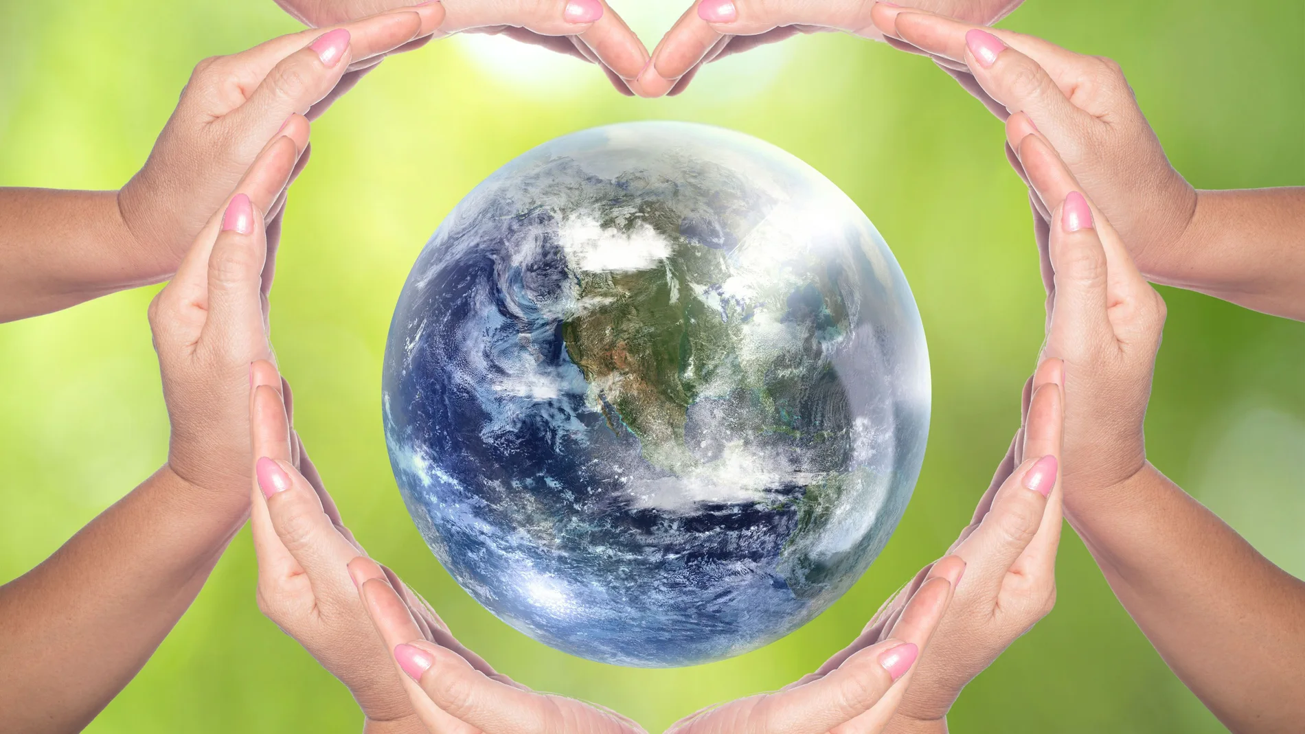 Solidaridad verde