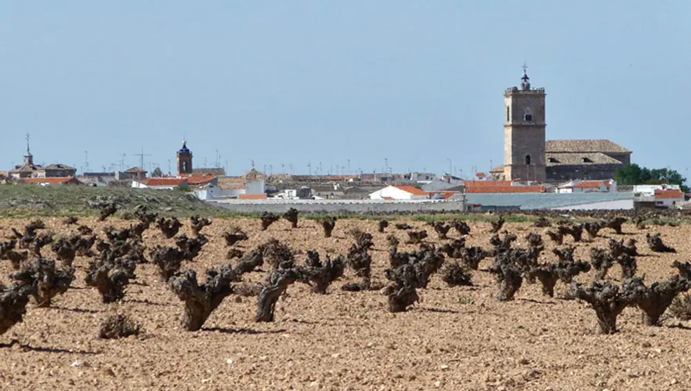 Vista de El Toboso y sus viñedos.