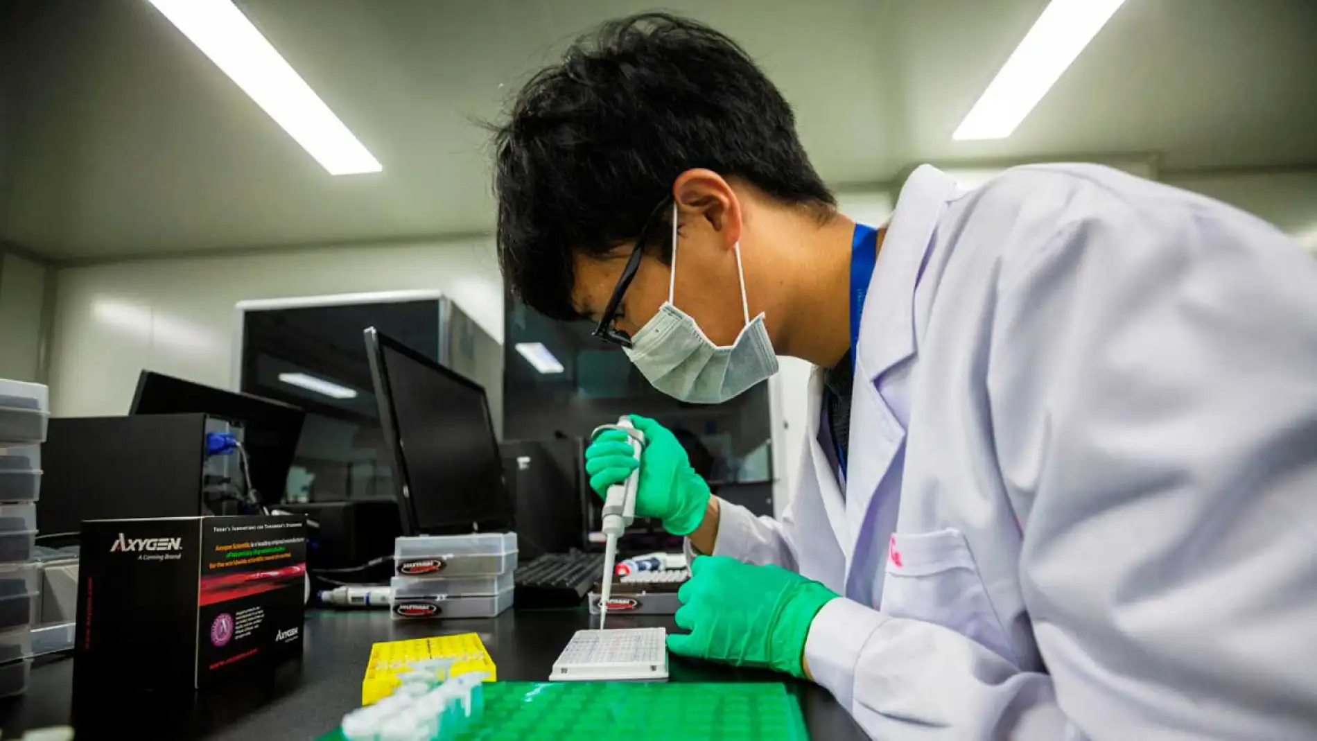 La teoría del estudio asegura que el virus fue creado artificialmente por científicos chinos