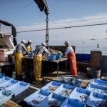 Pescadores valencianos extraen más de 76.000kg de basura marina en 2019 para darles una "segunda vida" con el reciclaje