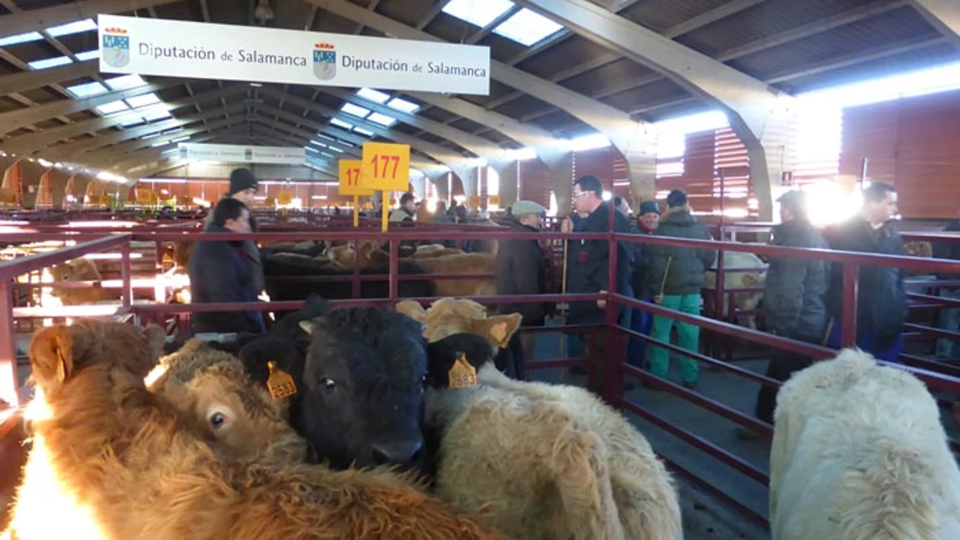Mercado de Ganados de la Diputación de Salamanca