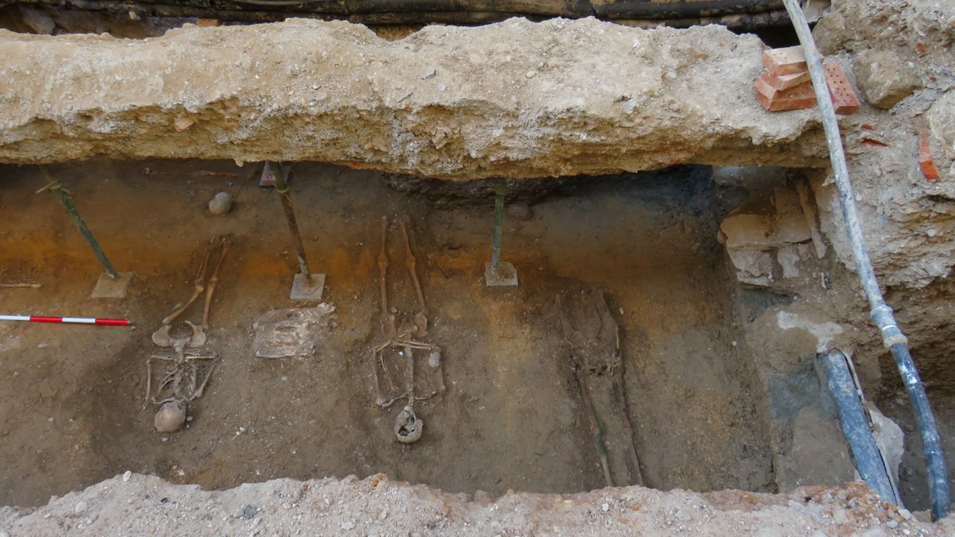 Tres de los cuerpos que han aparecido en las excavaciones que se han llevado a cabo en Valladolid