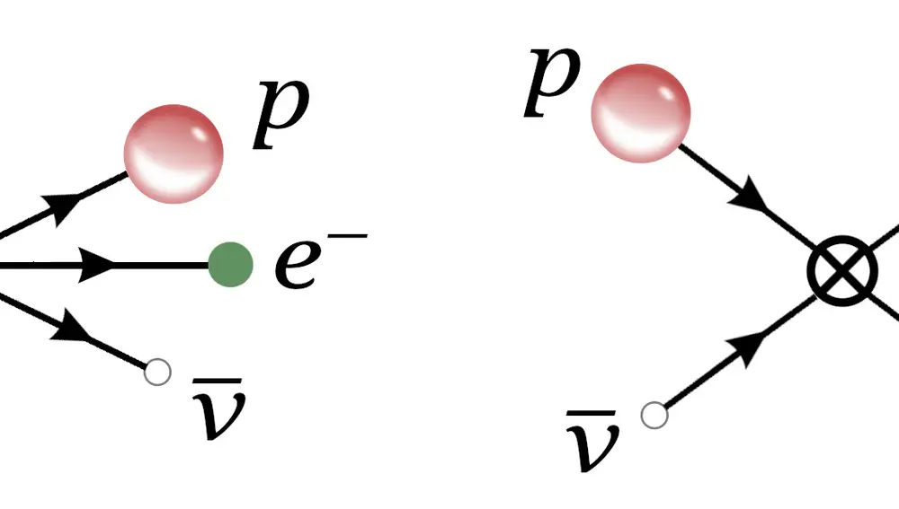 La interacción de Fermi permitía entender la desintegración beta como un neutrón que se transforma en un protón y, a cambio, crea un electrón y un antineutrino (izquierda). Pero la misma interacción abría la puerta a otros fenómenos, como el de la derecha, en el que un antineutrino choca con un protón y lo transforma en un neutrón. Este tipo de procesos sugerían que era posible detectar un neutrino buscando transmutaciones de protones en neutrones.