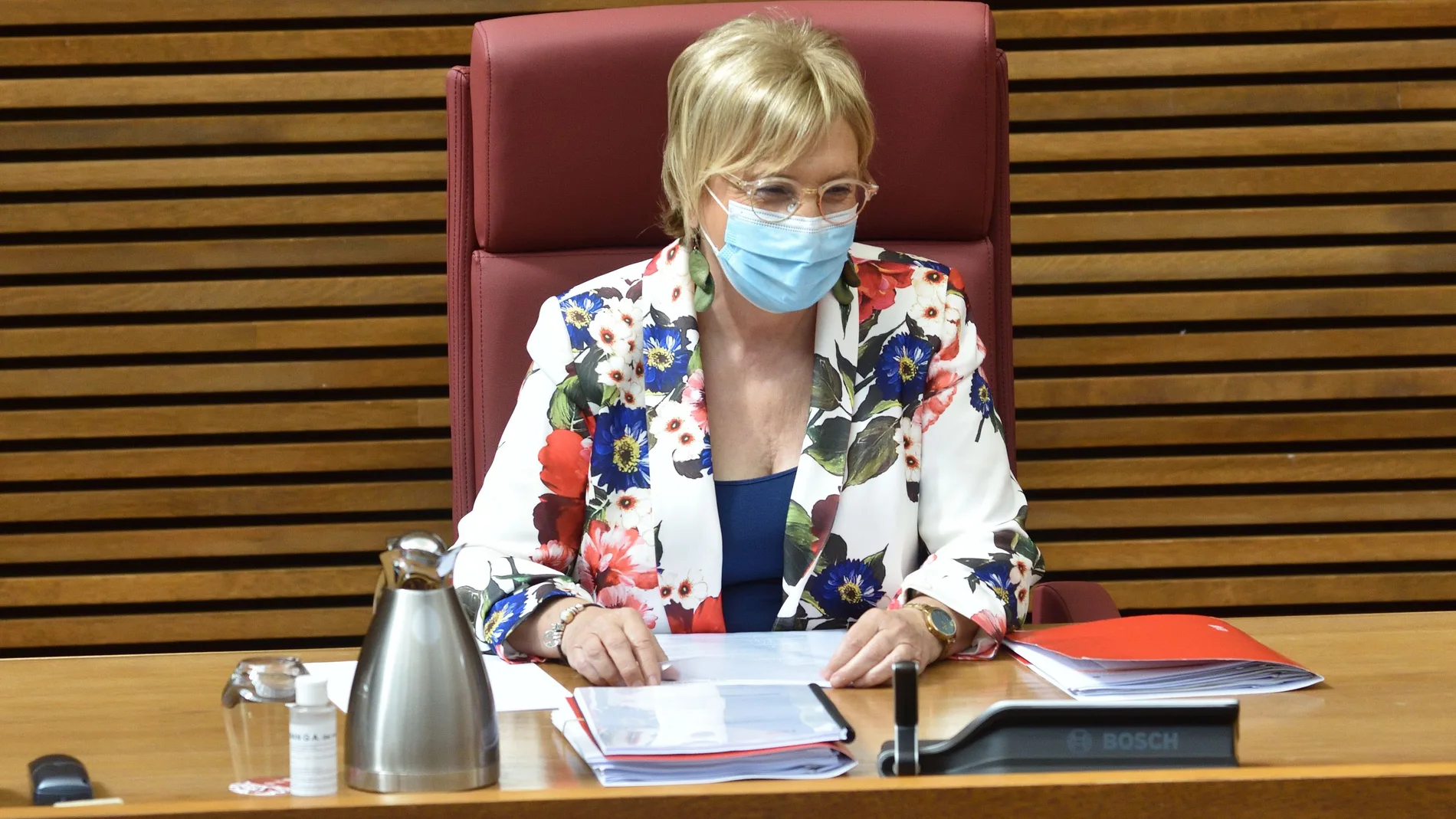 La consellera de Sanitat, ana Barceló, a su llegada a la comisiónde Sanidad de Les Corts Valencianes