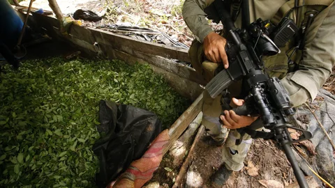 De joven, se fue a Estados Unidos para ayudar a recibir los cargamentos de drogas y trabajó con Fabio Ochoa Vasco, miembro de alto nivel del Cartel de Medellín.
