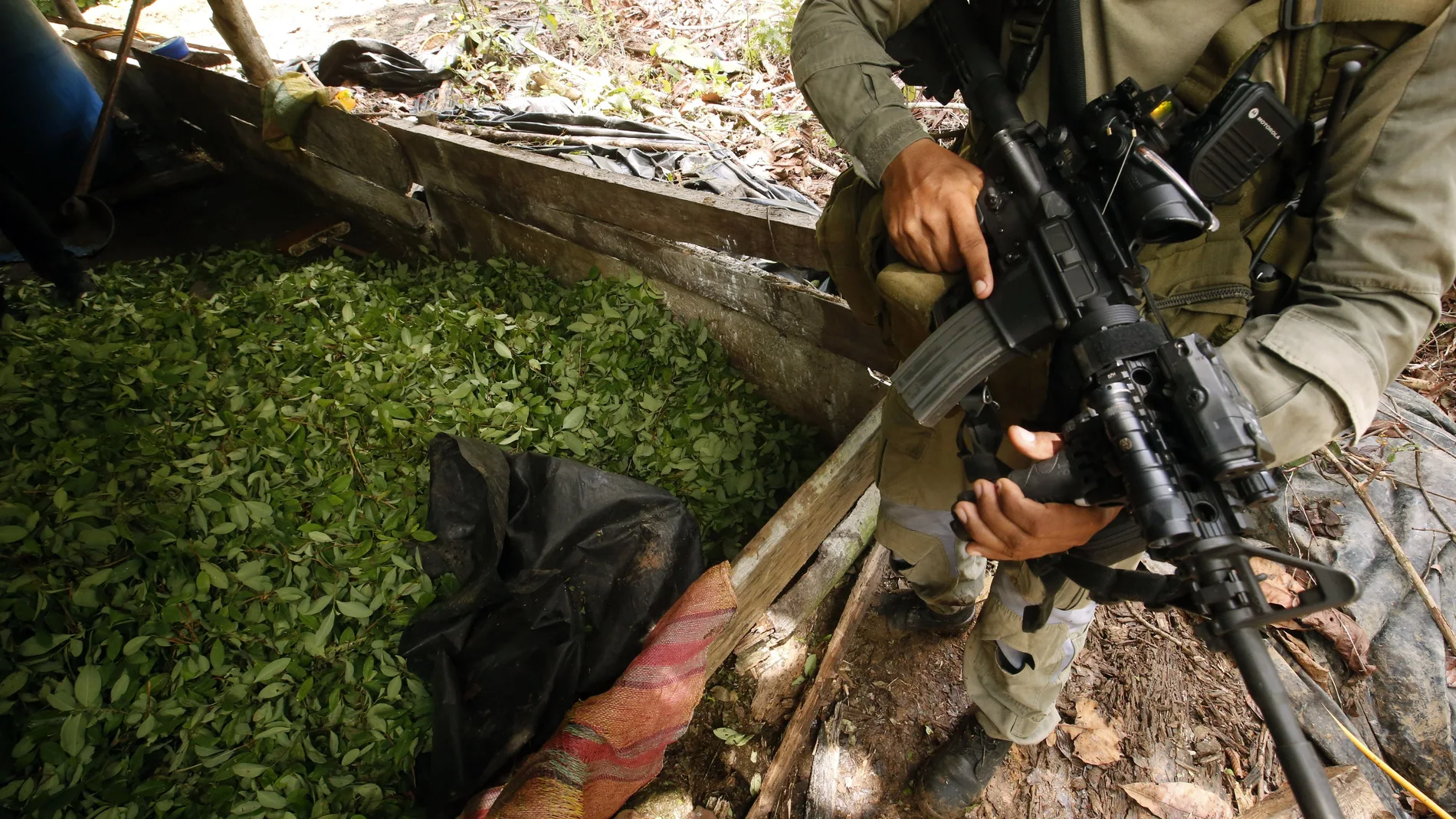 Los narcos mexicanos se fortalecen en Colombia incluso con el coronavirus