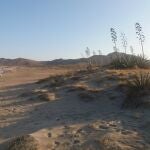 Imagen de la playa de Genoveses, en el parque natural de Cabo de Gata