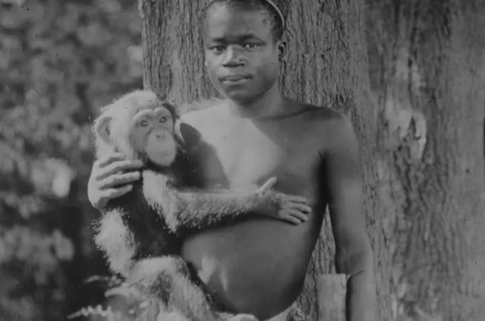 Cuando el zoo de Nueva York exhibió a un hombre negro en el recinto de los monos