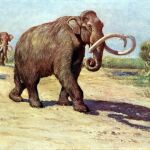 Paleoarte de un mamut colombino (Charles R. Knight , 1909)