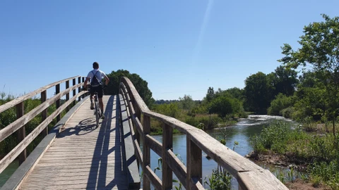 Puente en el Parque Natural del Turia