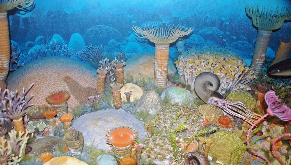Recreación de un arrecife del Devónico. En él podemos ver las “cúpulas” creadas por las esponjas estromatopóridas, y a su alrededor algas, moluscos y corales solitarios que sobresalen como columnas coronadas de tentáculos.
