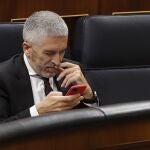 El ministro del Interior, Fernando Grande Marlaska, en la sesión de control al Gobierno/ EFE/ Ballesteros