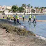 Imagen de archivo de la retirada de algas, este verano en el Mar Menor