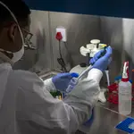 Un biólogo trabaja en una laboratorio de Moutse Valley, en Suráfrica, en busca de una vacuna para el coronavirus
