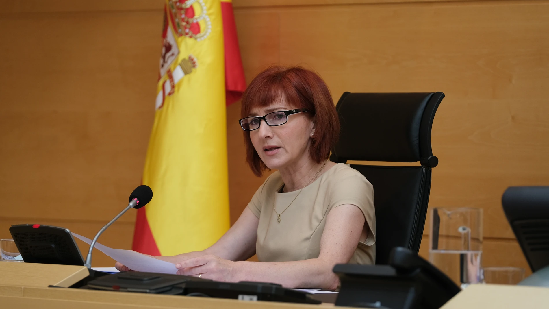 Mercedes Pérez, directora general de Profesionales de la Gerencia Regional de Salud, comparece en la Comisión de Sanidad