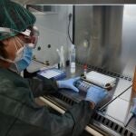 La región sanitaria de Girona ha procesado más de 32.000 pruebas PCR
