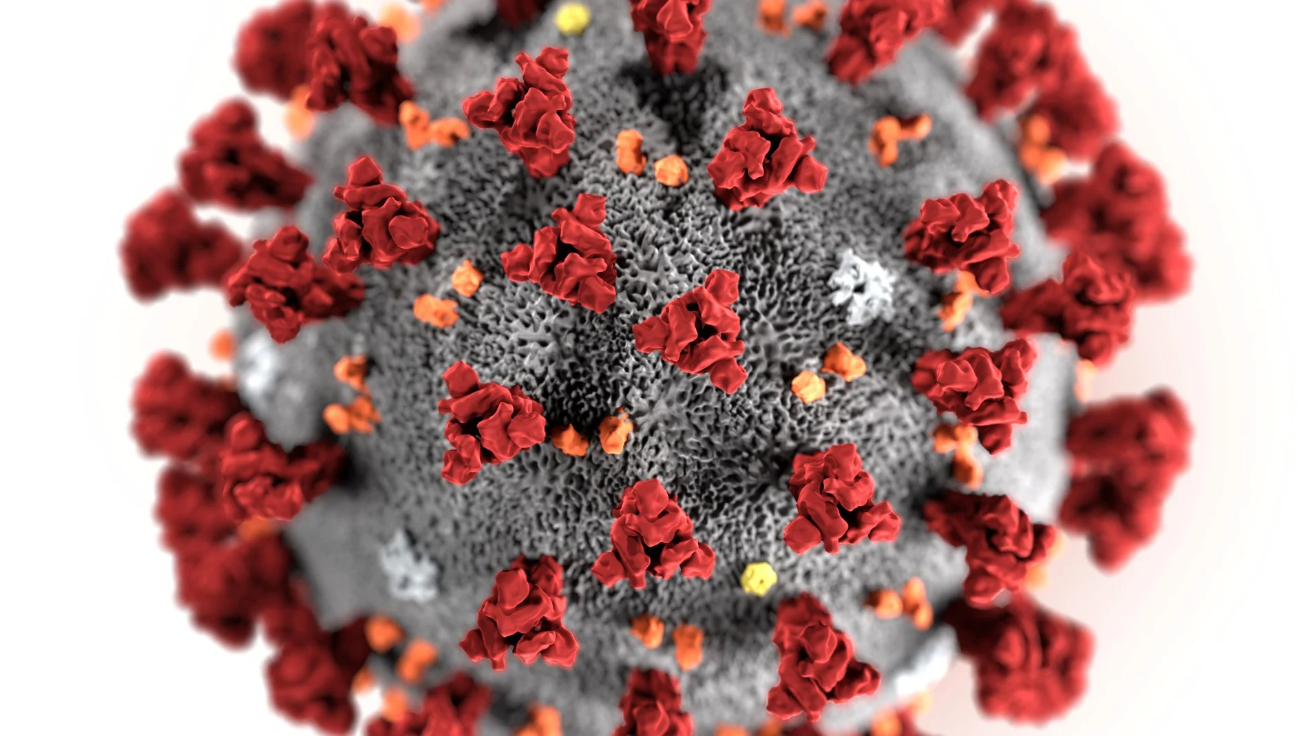 El coronavirus ha desterrado los viejos métodos científicos de investigación