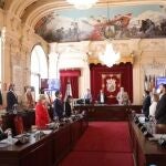Pleno del Ayuntamiento de MálagaAYUNTAMIENTO25/06/2020