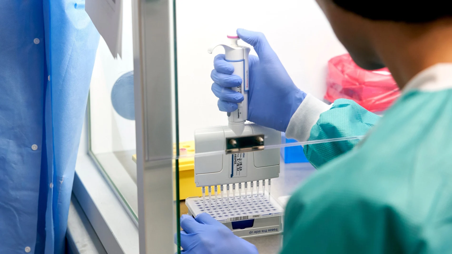 RealTime Laboratories testing samples for the coronavirus disease (COVID-19) in Carrollton, Texas