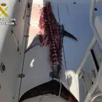 El pescador ya había comenzado a despiezar el atún