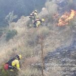 Bomberos forestales trabajan contra las llamas en Serón