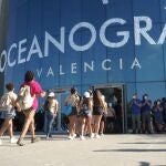 Alumnos alojados en el Albergue de Olocau han sido los primeros en entrar esta mañana a l'Oceanogràfic