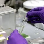 Técnicos de laboratorio trabajan en la empresa PharmaMar sobre el medicamento Aplidin, que según las pruebas realizadas en sus laboratorios podrían resultar efectivos en el tratamiento contra el Coronavirus COVID-19.