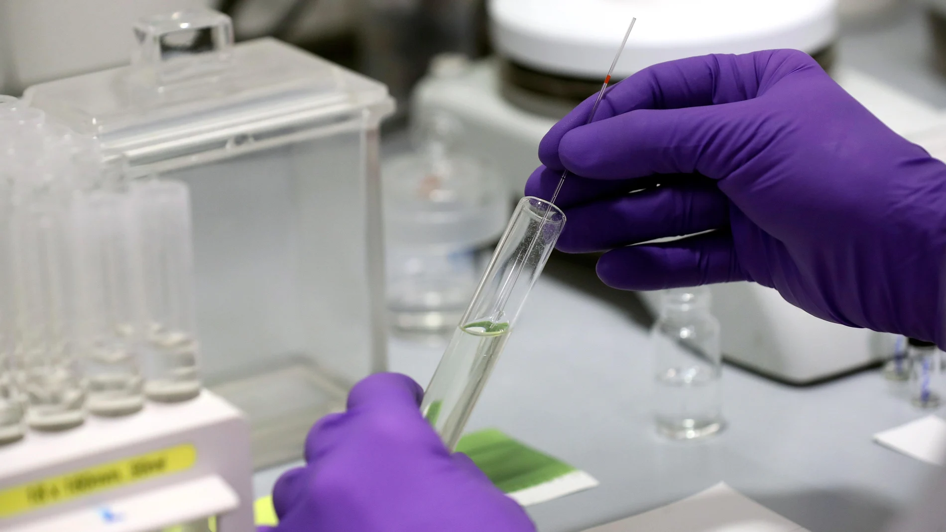 Técnicos de laboratorio trabajan en la empresa PharmaMar sobre el medicamento Aplidin, que según las pruebas realizadas en sus laboratorios podrían resultar efectivos en el tratamiento contra el Coronavirus COVID-19.